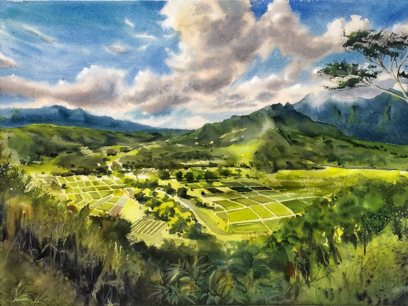 Hanalei Valley, Hawaii