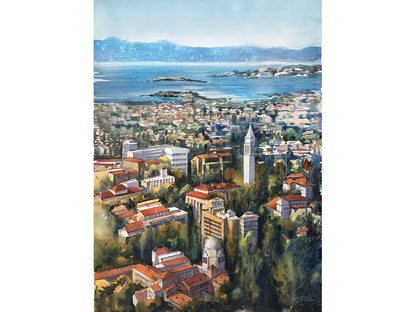 UC Berkeley